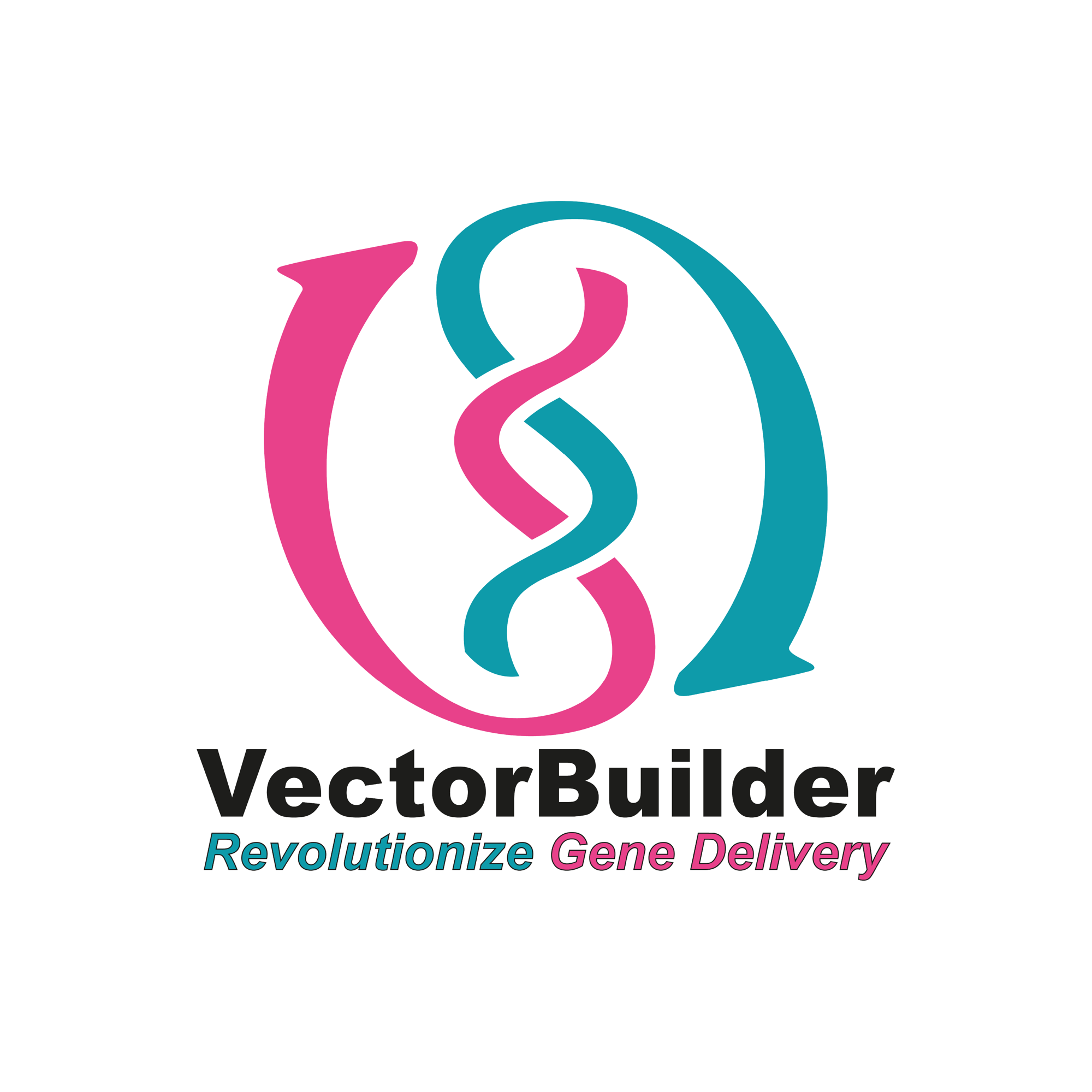 VectorBuilder Logo-01-1